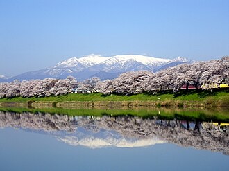 蔵王の樹氷