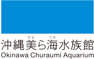 沖縄美ら海水族館